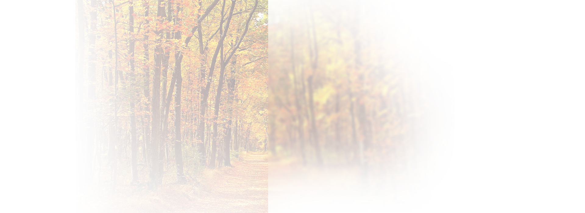 x1321870276bio_pellet