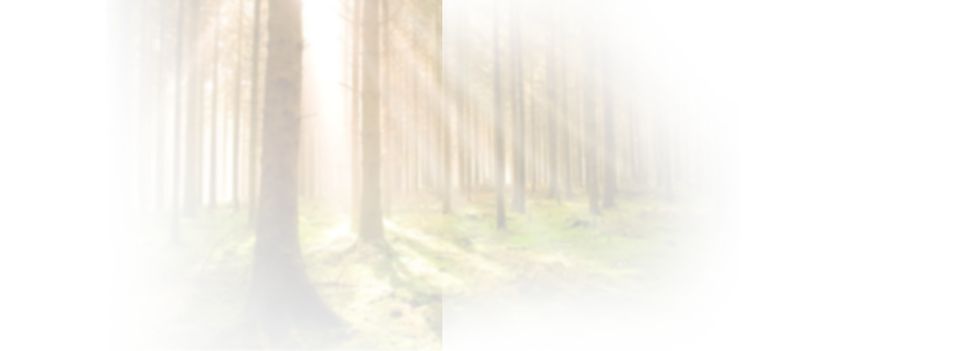 x1321870276bio_pellet